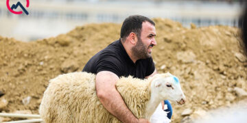Qurban kəsirik: nəyi bilməliyik?