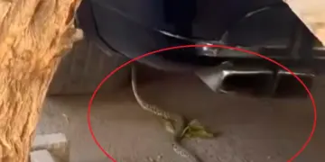 DİQQƏT: Metronun “28 May” stansiyasının qarşısında ilanlar peyda olub