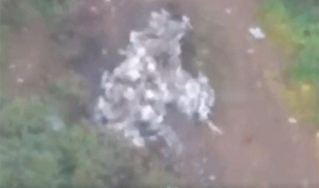 Dünən yoxa çıxan helikopter qəzaya düşübmüş, 22 ölü – Video