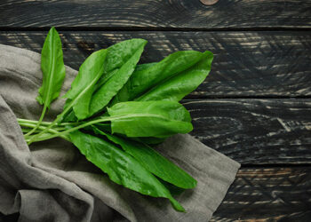 Çiy də faydalıdır, bişmiş də…