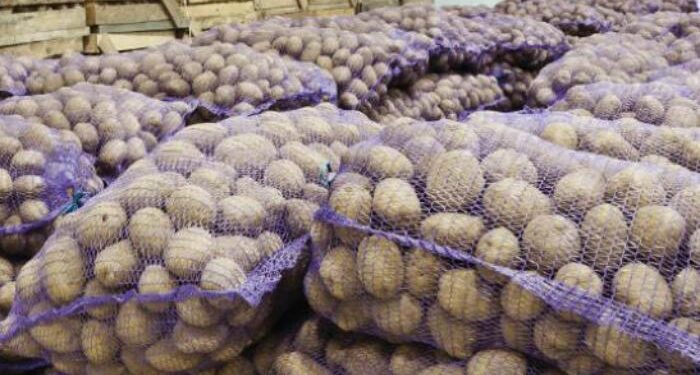 500 ton kartofun sahibi tapılmır – Gömrükdə çürüyür