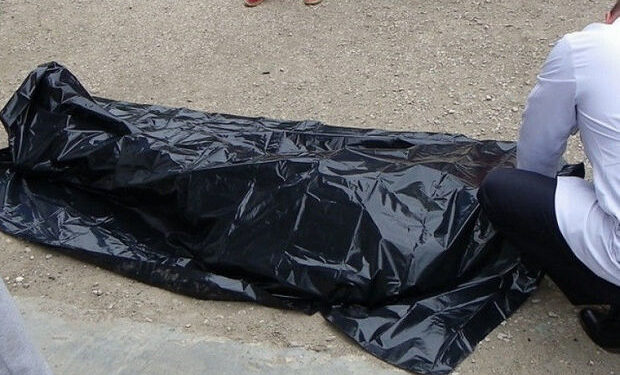 Salyanda qoşqunun altında qalaraq ölən şəxsin kimliyi məlum oldu – YENİLƏNİB