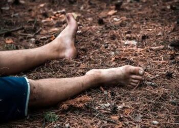 Yardımlıda 26 yaşlı şəxsin meyiti meşədə tapılıb