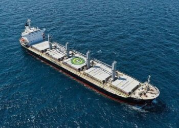 Həftəsonu Ukrayna limanlarından ərzaq daşıyan 17 gəmi çıxıb – FOTO