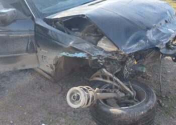 Ələt-Astara magistral avtomobil yolunda mal-qara yol qəzasına səbəb olub