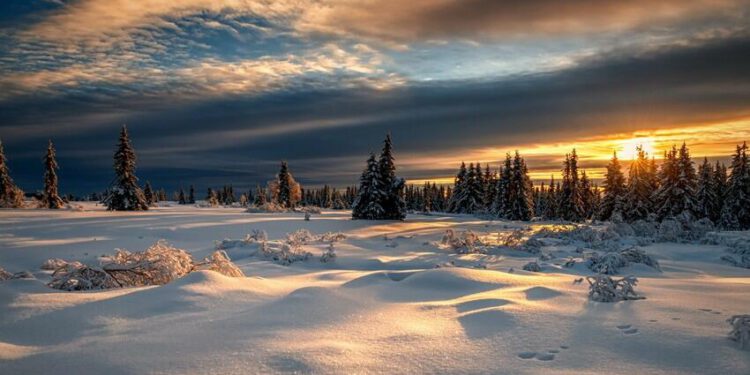 EKOLOGİYABu günün hava proqnozu açıqlandı