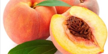 Bəzi müəllimlərin adını yaza bilmədiyi meyvənin 7 FAYDASI