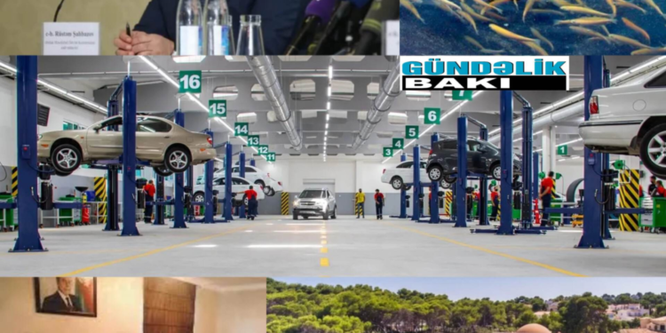 Əmlak Məsələləri Dövlət Xidmətinin rəis müavini Rüstəm Şahbazovun üzüm və taxıl sahələri… – Dövlət Xidmətinin yerli qurumlarla iş şöbəsinin müdiri Yusif Qənbərovun vətəgəsi, avtomobil sexləri və…