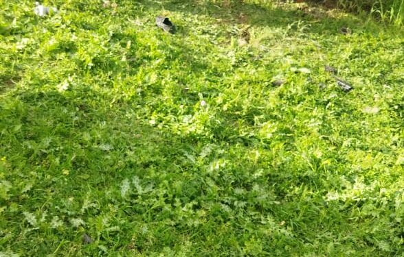 Cəlilabaddakı ağır yol qəzasında ölən və xəsarət alan şəxslərin kimliyi məlum olub
