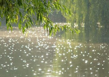 Əhaliyə qəti xəbərdarlıq edildi – Soyuqlar başlayır