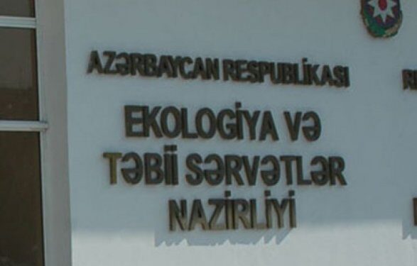 Ekologiya rəislərinin cənubdakı yeni biznes gəlirləri_VİDEO fakt By