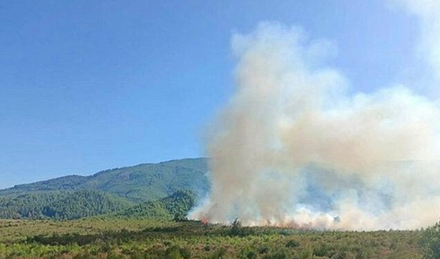 Türkiyədə meşə yanır – Helikopterlər cəlb edildi
