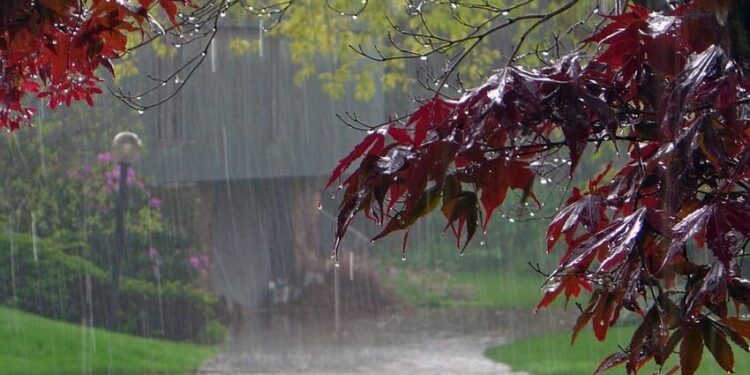 EKOLOGİYAYağış yağacaq, güclü külək əsəcək – Bu günün havası