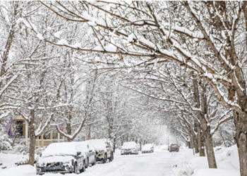 Güclü külək əsəcək, qar yağacaq, temperatur 5-8 dərəcə enəcək – XƏBƏRDARLIQ