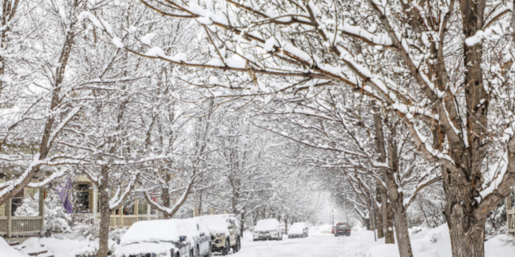 Güclü külək əsəcək, qar yağacaq, temperatur 5-8 dərəcə enəcək – XƏBƏRDARLIQ