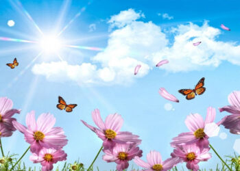 Bu gün Su çərşənbəsidir