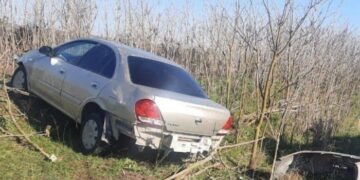 Cəlilabadda minik avtomobili ağaca çırpılıb, xəsarət alan var – FOTO