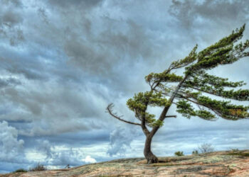 XƏBƏRDARLIQ – Bu tarixdən hava kəskin pisləşir