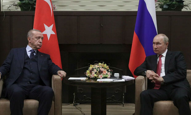 Rəcəb Tayyip Ərdoğan Vladimir Putinə zəng etdi: “Əməkdaşlığa hazırıq”