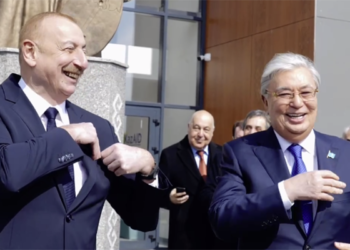 Prezidentlərin səfərinin pozitiv anları – Video