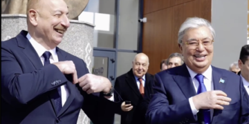 Prezidentlərin səfərinin pozitiv anları – Video