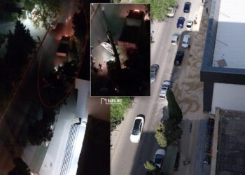 Xırdalanda gecə ilə ağacları kökündən çıxarıb üstünü torpaqla örtdülər – FOTO\VİDEO