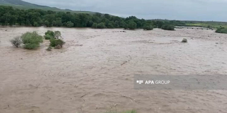 Qazaxda güclü yağışlardan sonra çay daşıb, torpaq sahələri və kafelər suyun altında qalıb – FOTO – YENİLƏNİB