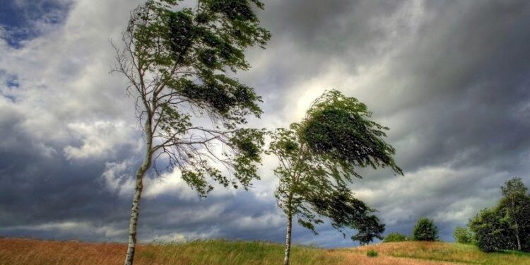 Bu günlərdə elektrik cihazlarından uzaq durun – FHN-dən xəbərdarlıq