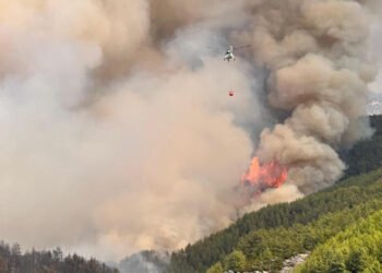 Türkiyənin 5 vilayətində meşə yanğınları – Xəbərdarlıq olundu
