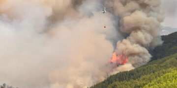 Türkiyənin 5 vilayətində meşə yanğınları – Xəbərdarlıq olundu