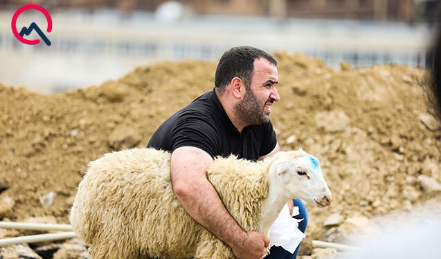 Qurban kəsirik: nəyi bilməliyik?