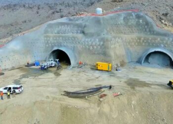 Türkiyə şirkətləri Qarabağda görün nələr edir – VİDEO