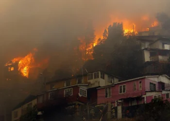 Türkiyədə meşə yanğınları: Alovlar evlərə sıçradı