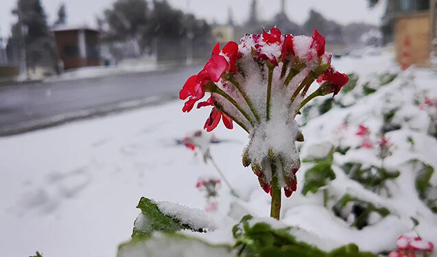 Yağış, qar, şaxta… – Sabahın havası