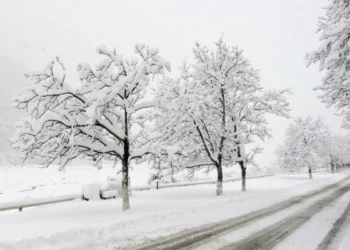 Lerikdə qarın hündürlüyü 79 santimetrə çatıb – Faktiki hava
