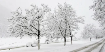 Lerikdə qarın hündürlüyü 79 santimetrə çatıb – Faktiki hava