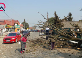 Güclü külək Lənkəranda fəsadlar yaratdı – Fotolar