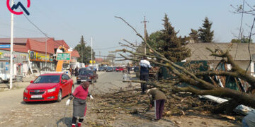 Güclü külək Lənkəranda fəsadlar yaratdı – Fotolar