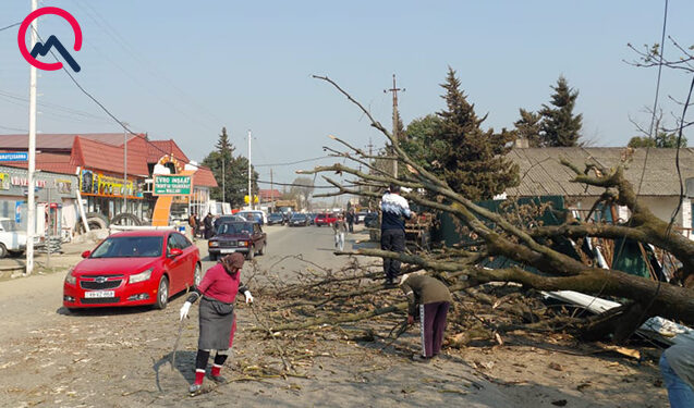 Güclü külək Lənkəranda fəsadlar yaratdı – Fotolar