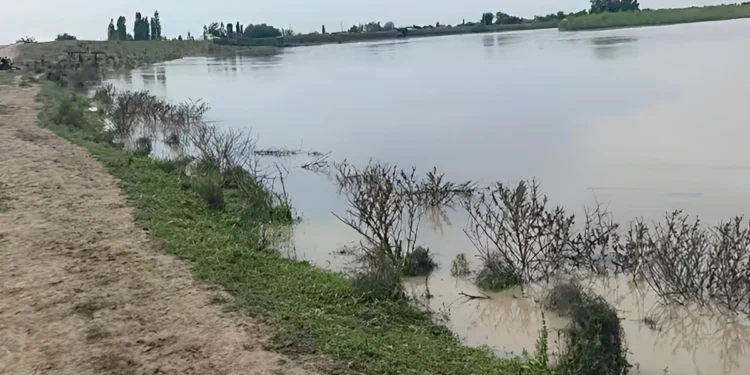 Sabirabadda Kürün səviyyəsi artdı: Bəzi ərazilər SU ALTINDA QALDI