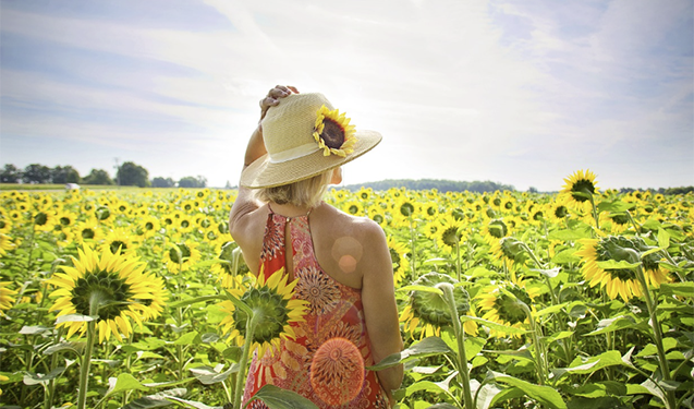 Bu günə olan hava proqnozu