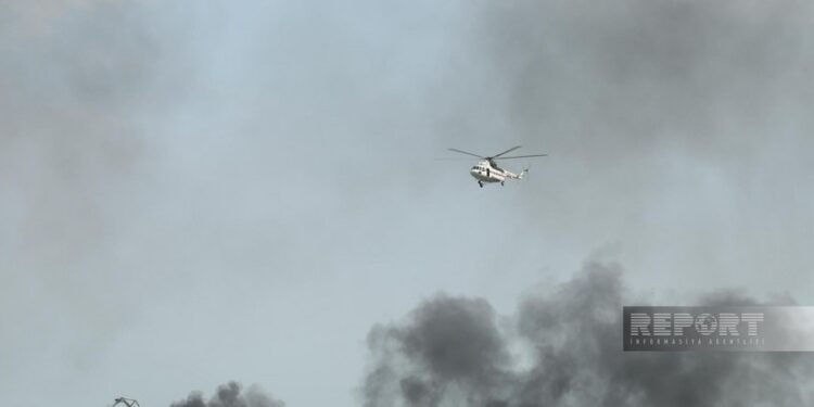 Cəlilabadda meşə ərazisinə keçən yanğın lokallaşdırılıb – YENİLƏNİB-3