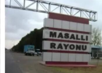 11-saylı Masallı Regional meşə idarəsində nə baş verir…