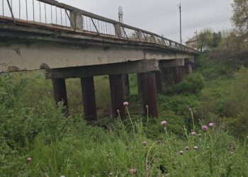 Cəlilabad rayon Petrovka körpüsndə narazılığa səb olan nədir.