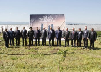 Cəlilabadda “Şəhərsalma və Memarlıq ili”çərçivəsində ağacəkmə aksiyası keçirib.