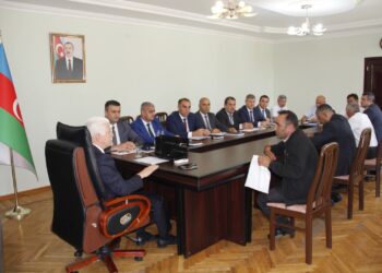 Cəlilabad Rayon İcra Hakimiyyətinin başçısı Rafiq Cəlilov tərəfindən növbəti vətəndaş qəbulu keçirilib