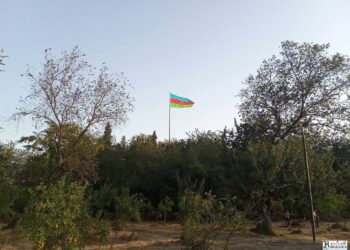 Nar bağında görülən abadlıq işləri —Fotolar