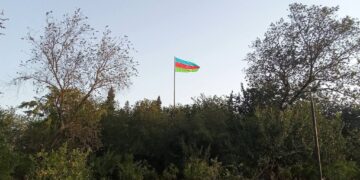 Nar bağında görülən abadlıq işləri —Fotolar