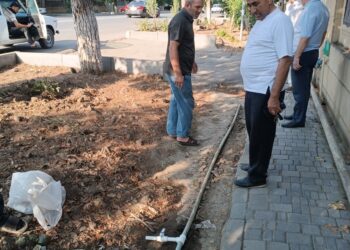Cəlilabad rayonunda yaşıllaşdırmaya xüsusi diqqət yetirilir…Forolar