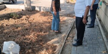 Cəlilabad rayonunda yaşıllaşdırmaya xüsusi diqqət yetirilir…Forolar